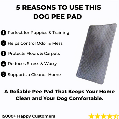 Washable Pet Training Pads 2 pack