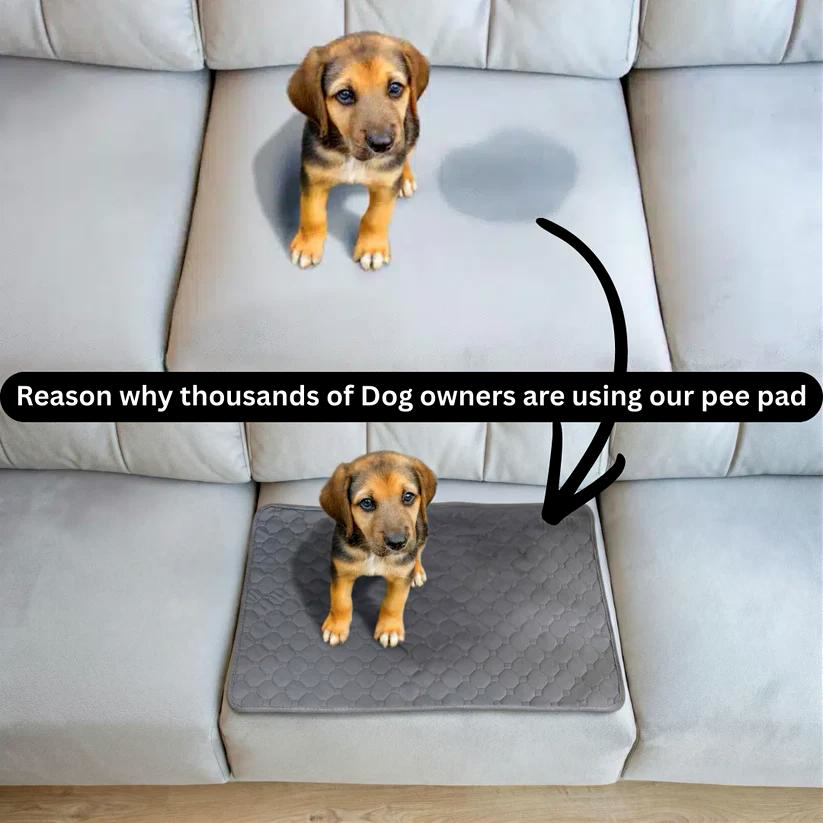 Washable Pet Training Pads 2 pack