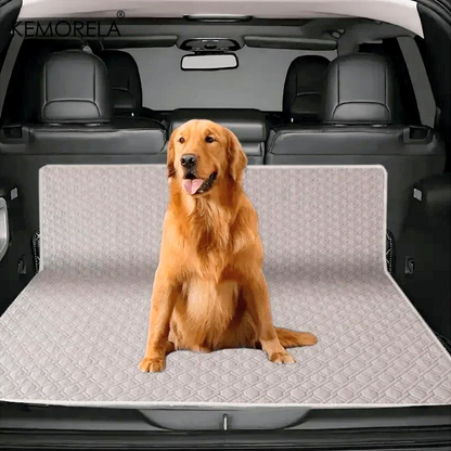 Washable Pet Training Pads 2 pack
