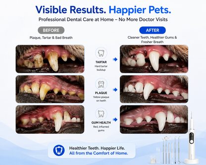Ultrasonic Pet Tooth Cleaner