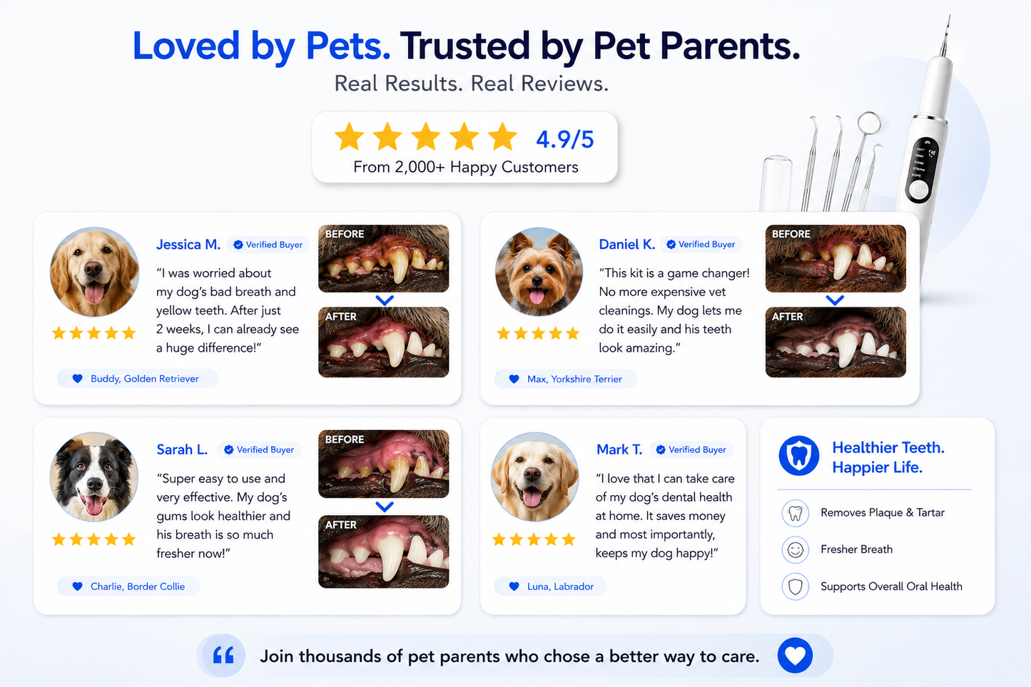 Ultrasonic Pet Tooth Cleaner